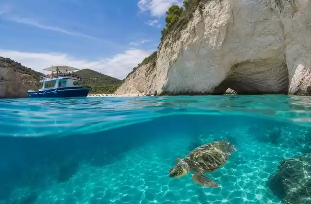 Zante