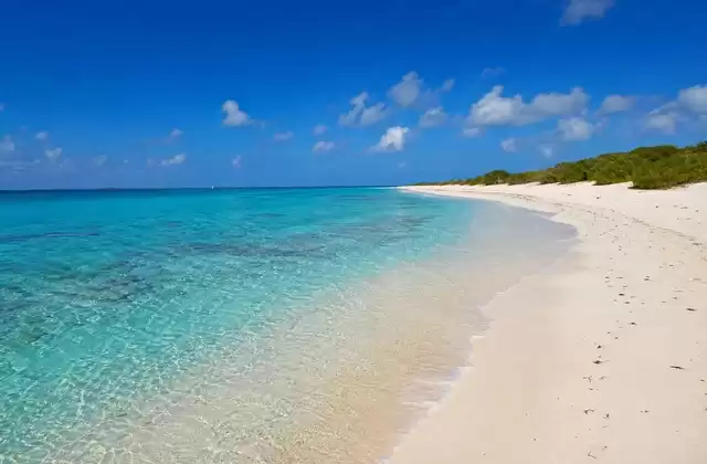Loblolly Bay