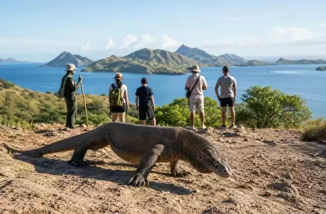 Parco nazionale di Komodo