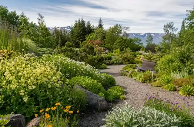 Giardino botanico di Akureyri