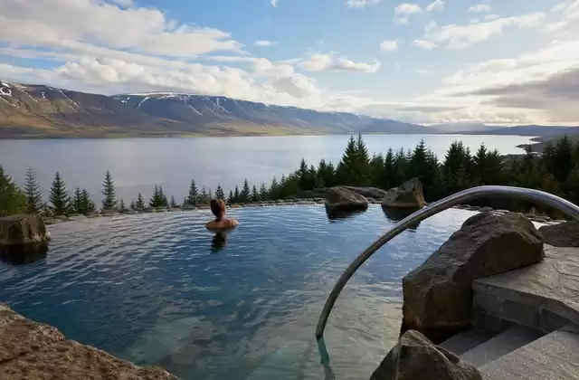 Forest Lagoon con vista sul fiordo