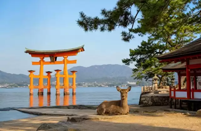 Miyajima