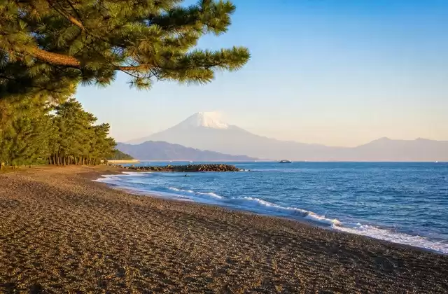 Shimizu