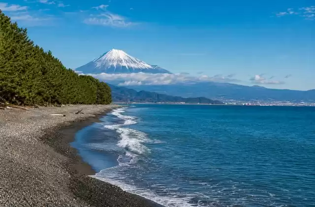 Shimizu