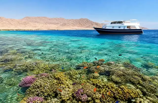 Reef Giapponese