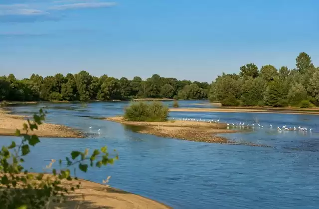 Le isole della Loira