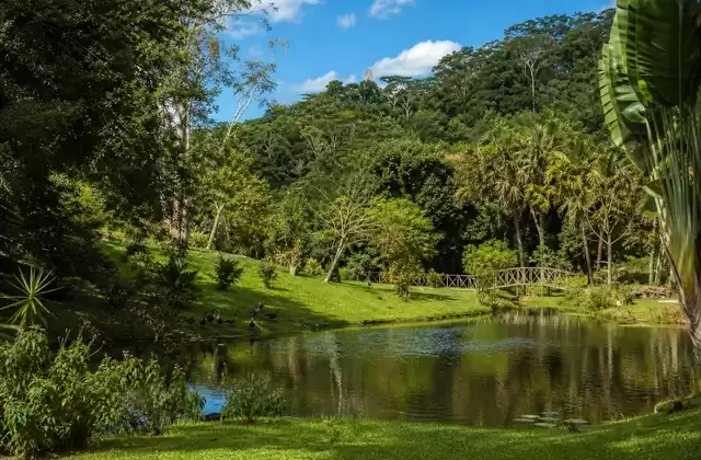 Parco Ivoloina