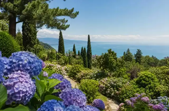 Giardino botanico