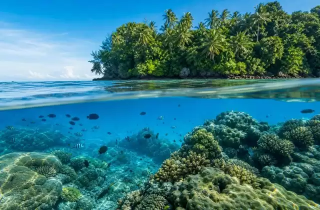 Barriere coralline di Kosrae