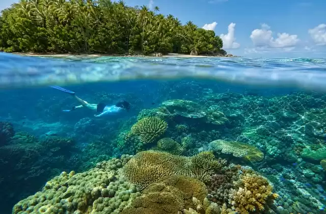Barriere coralline di Kosrae