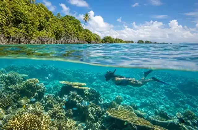 Barriere coralline di Kosrae