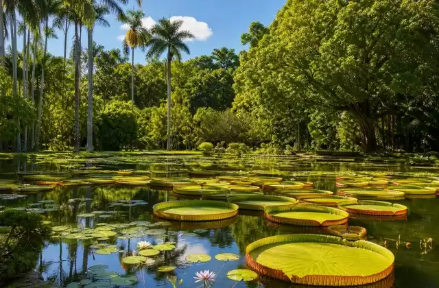 Mauritius