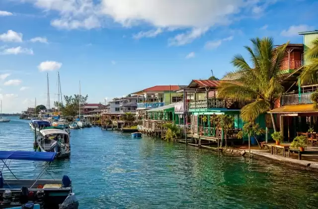 Bocas Town