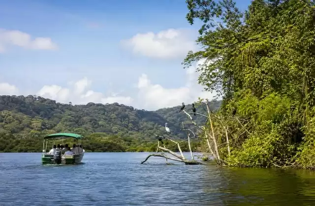 Gamboa
