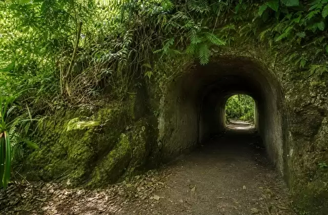 Tunnel giapponesi