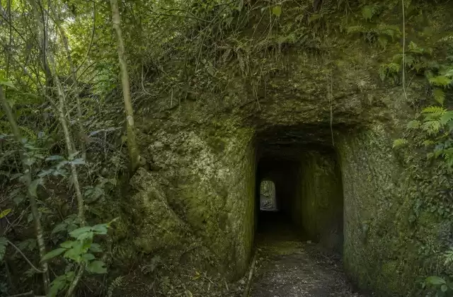 Tunnel giapponesi