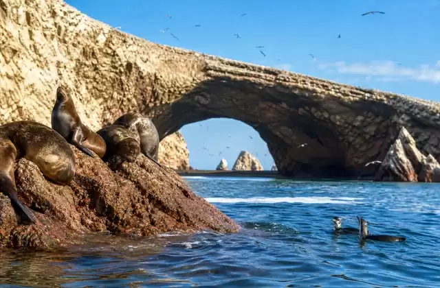 Isole Ballestas