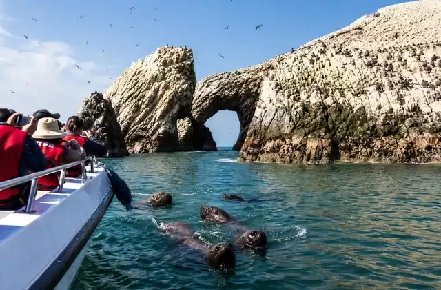Isole Ballestas