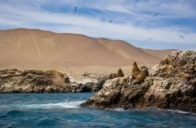 Isole Ballestas