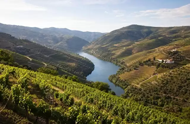 Valle del Douro