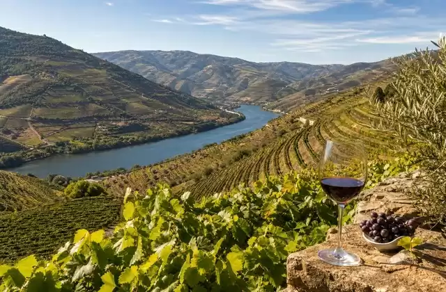 Valle del Douro