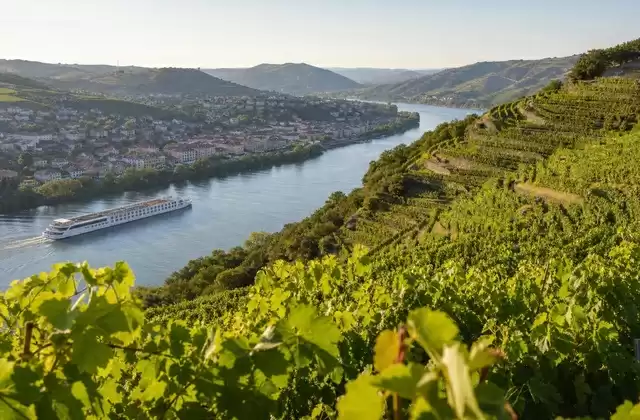 I vigneti di Tain-l'Hermitage
