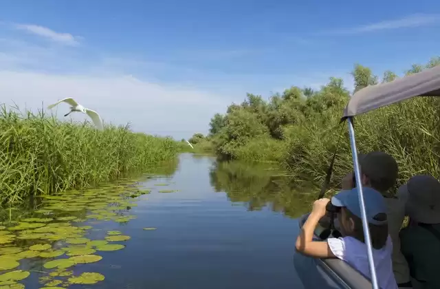 Canali del delta