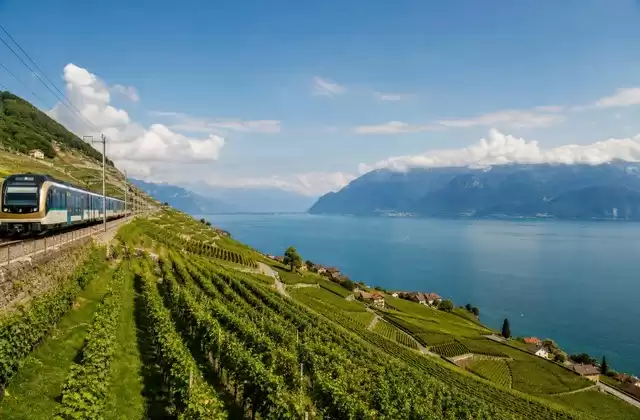 Lavaux
