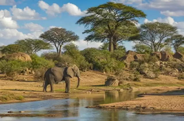 Tarangire